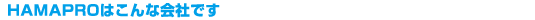 HAMAPRO͂ȉЂł